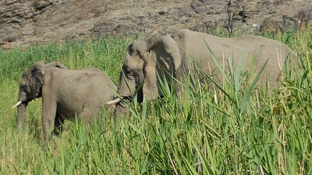 namibia-group-22