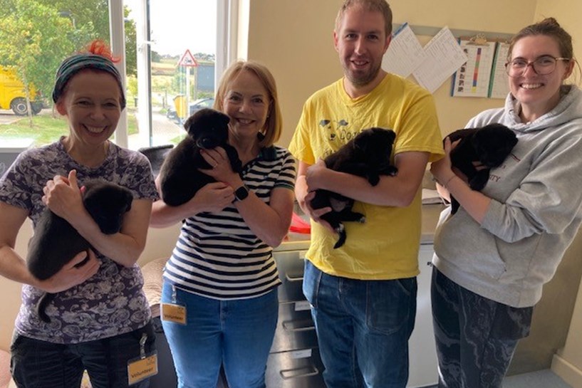 Dogs Trust 1