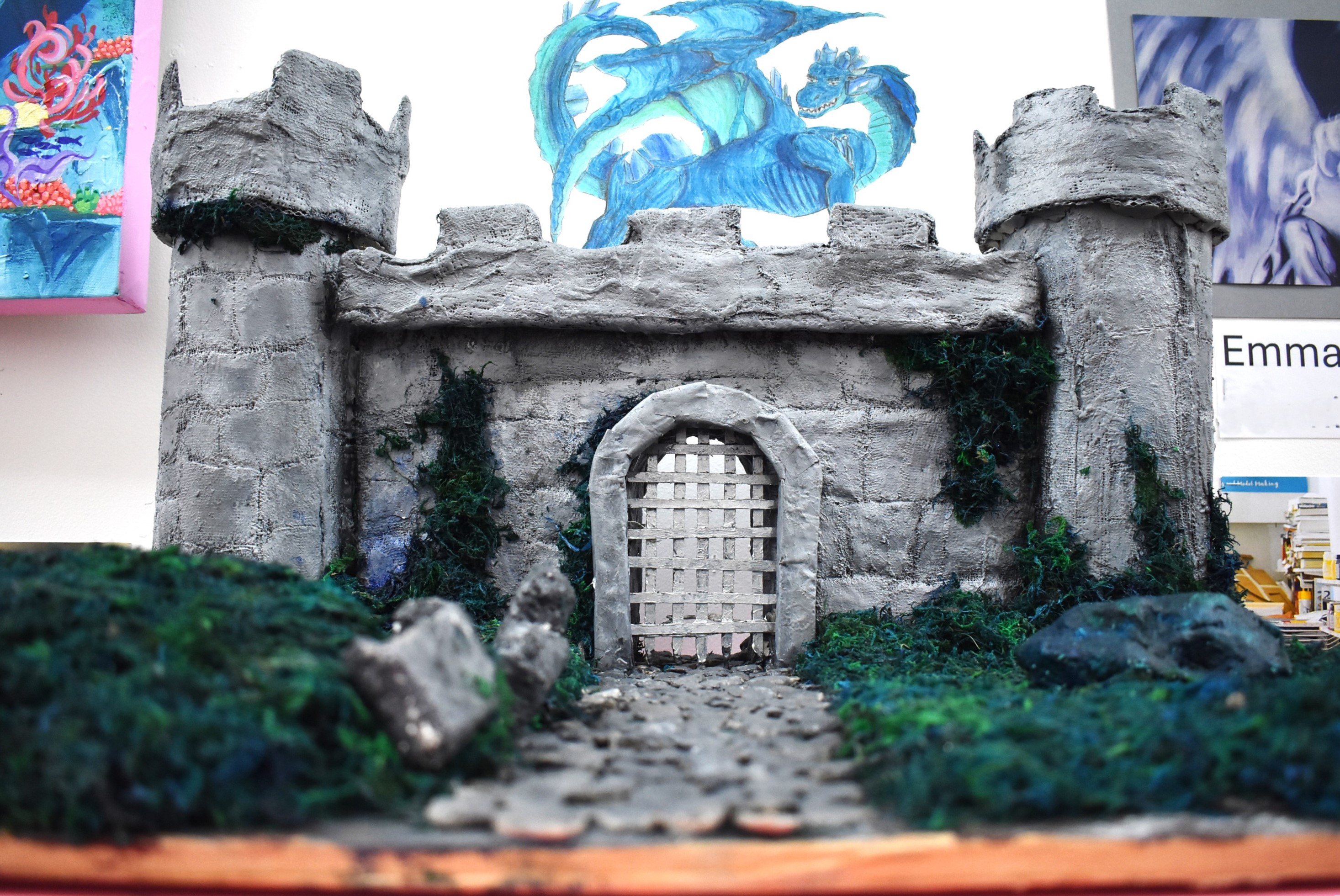 DSC 0015